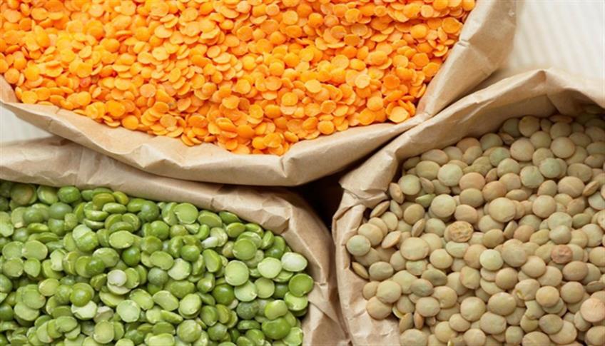 Lenticchie: legumi a forma di 'lente' Lenticchie: legumi a forma di 'lente'